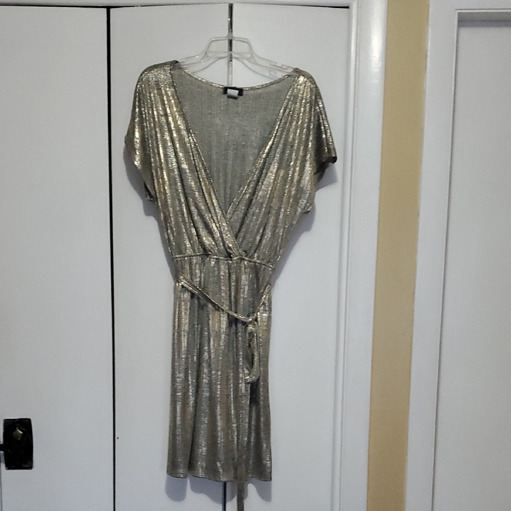 Espresso Shimmering Silver Dress